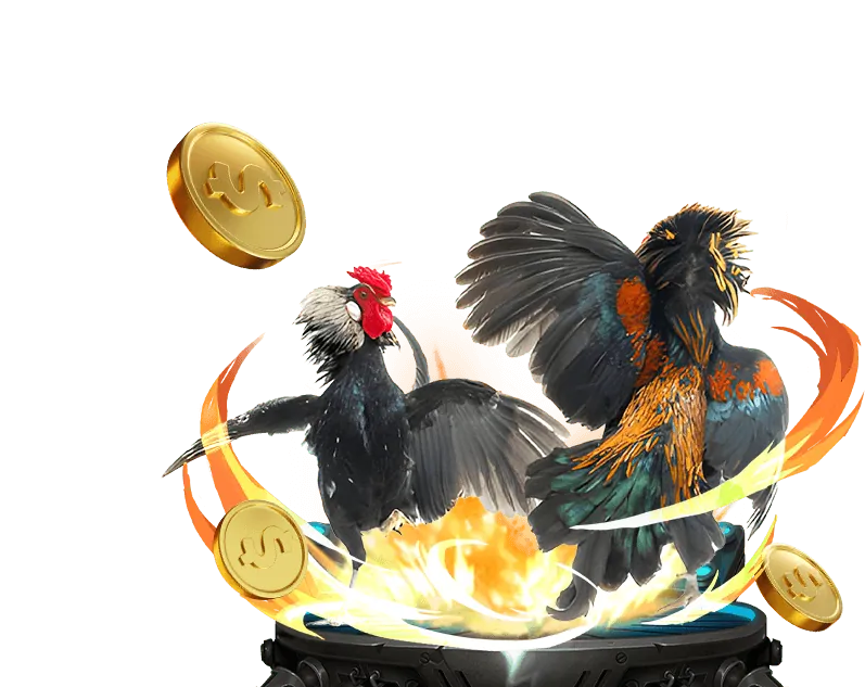 Các chương trình khuyến mãi đá gà hấp dẫn